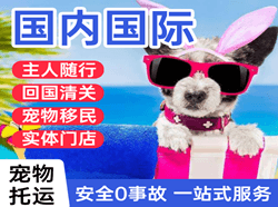 阆中古城航空运输国际宠物托运 【国